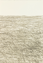 40 x 58 cm