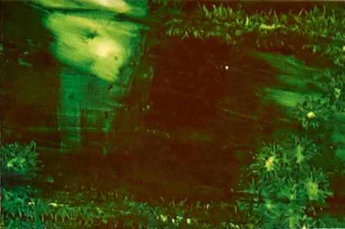 85 x 110 cm