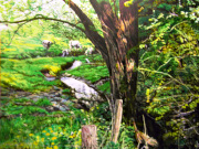 120 x 120
