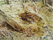 61 x 61 cm