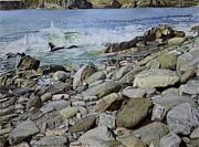 61 x 61 cm