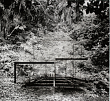 Abandonne